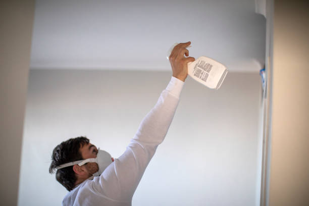Best Certified Mold Removal  in Antwerp, OH