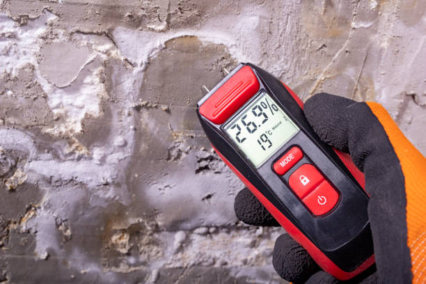Best Commercial Mold Removal  in Antwerp, OH