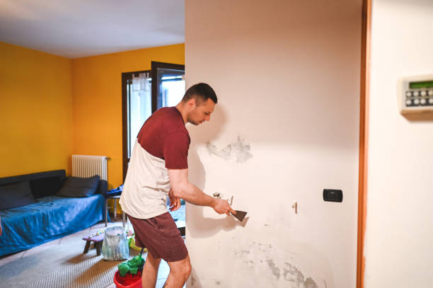 Best Mold Remediation  in Antwerp, OH